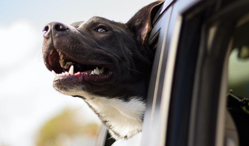 Andrew pons Qsm GE0 P2 B8 unsplash opt