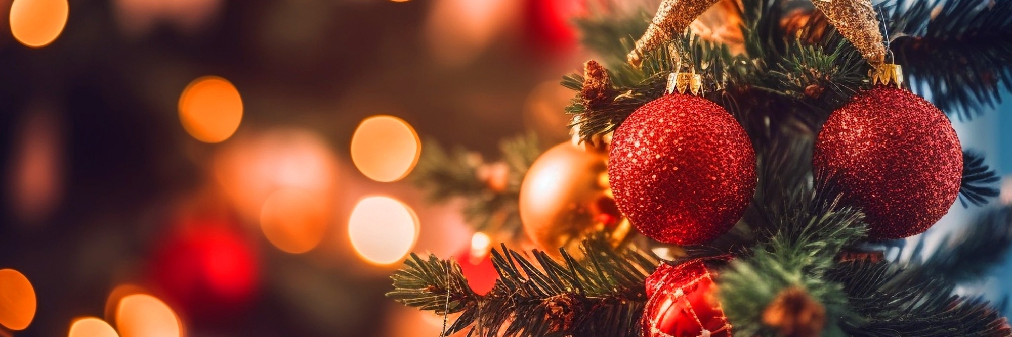 Christmas tree decorated with star