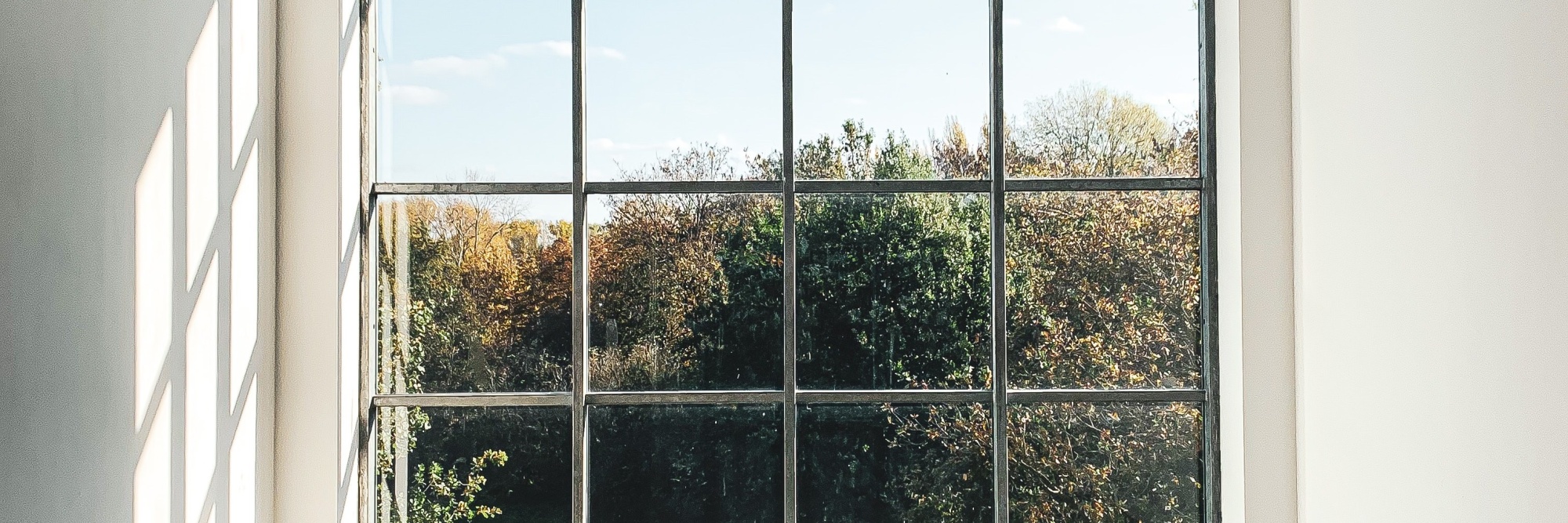 Laura cleffmann z3drmccz V Tc unsplash