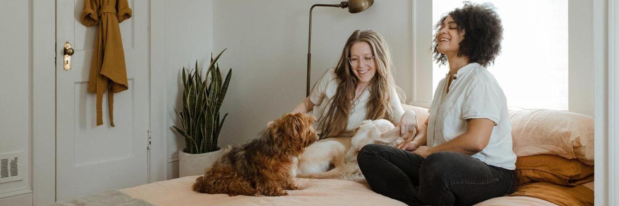 Chewy 3c AMUE3 YAO8 unsplash opt