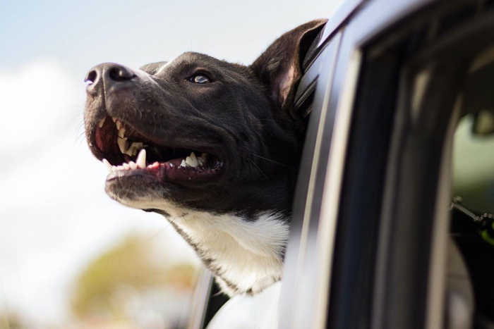 Andrew pons Qsm GE0 P2 B8 unsplash opt